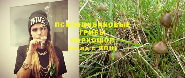 каннабис Алексеевка